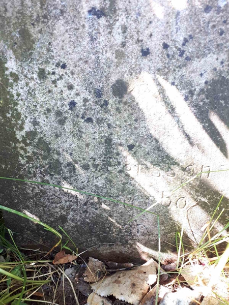 Hautatunnus: GK A 5   142H