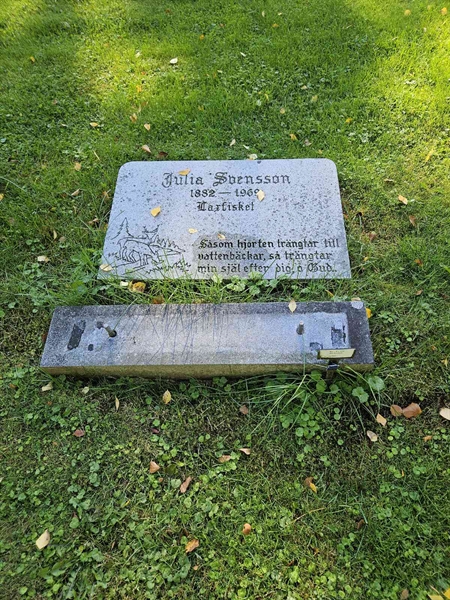Grave number: Fr 7   121