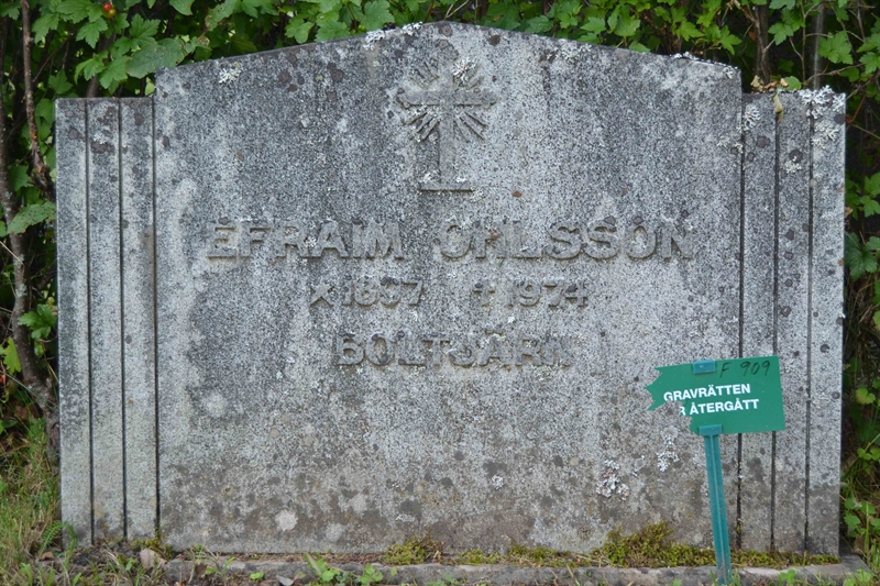 Grave number: 1 F   909