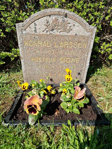 Grave number: 501 17 3163