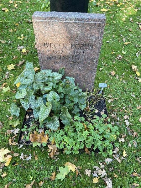 Grave number: 1 H   437