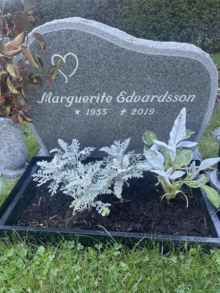 Hautatunnus: HVRÖ IV 11    36