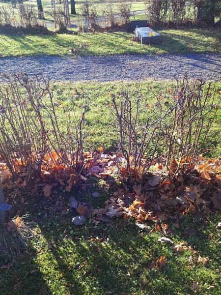 Hautatunnus: GK U 2    65