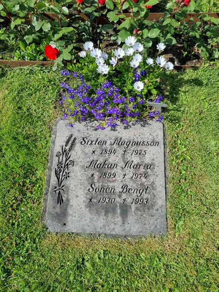 Grave number: 1 01  267