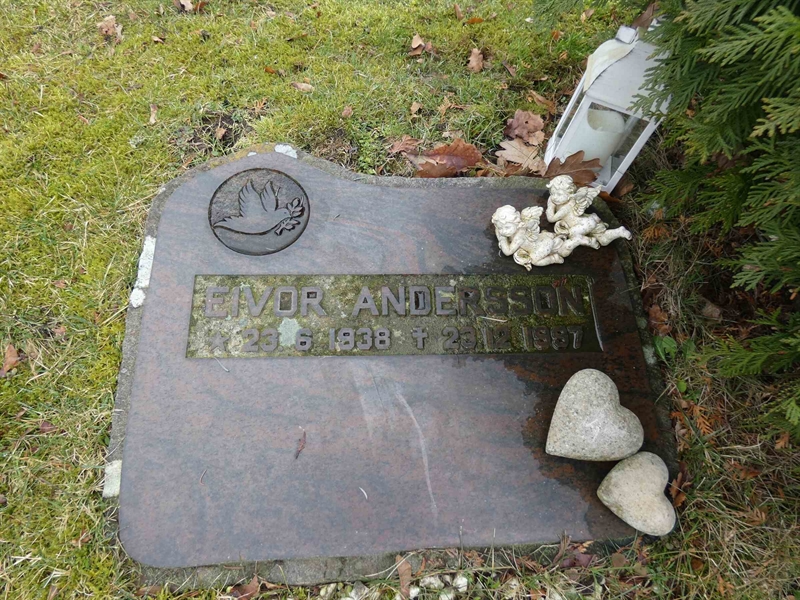 Grave number: SN D   224b