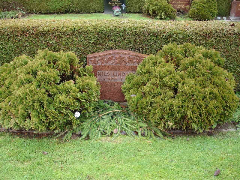 Grave number: HK M    55, 56