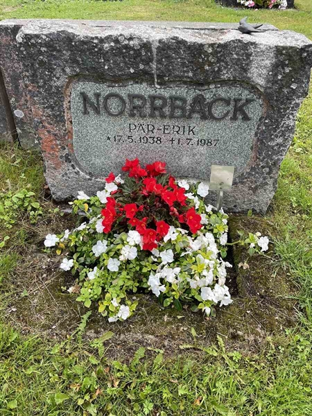 Gravnummer: N 4 3   421a