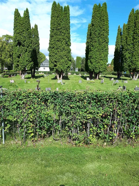 Gravnummer: NK F A   106