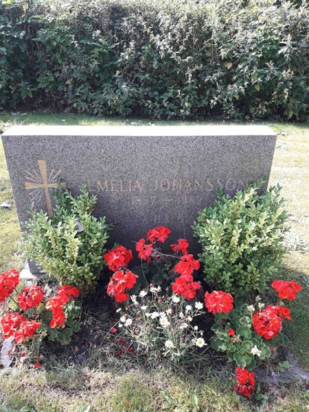 Grave number: TÖ 1    16