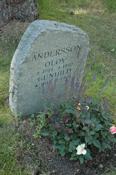 Grave number: H 3   56