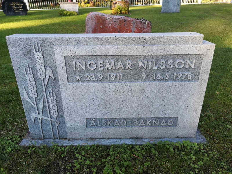 Hautatunnus: VLM 11    45:1-2