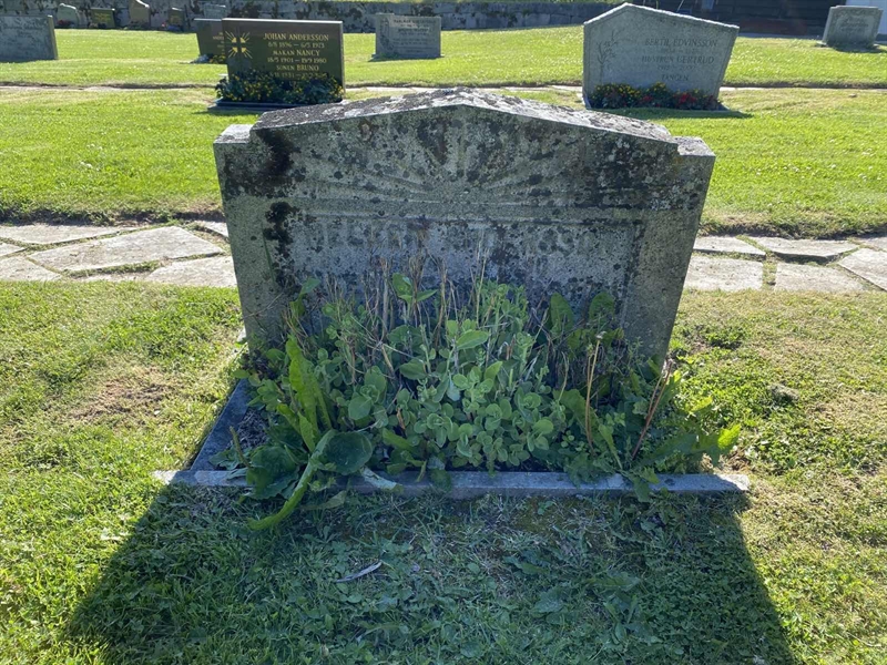 Grave number: 8 2 07   128-129