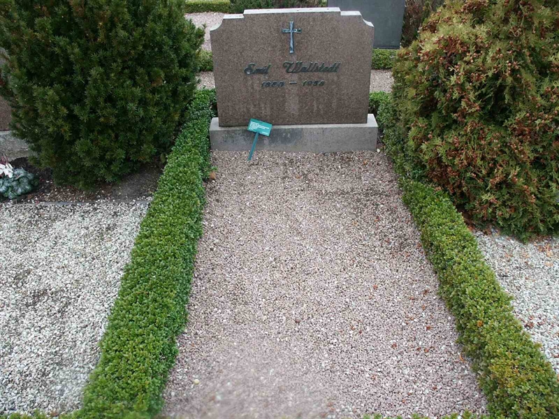 Grave number: KK NÖ C   100