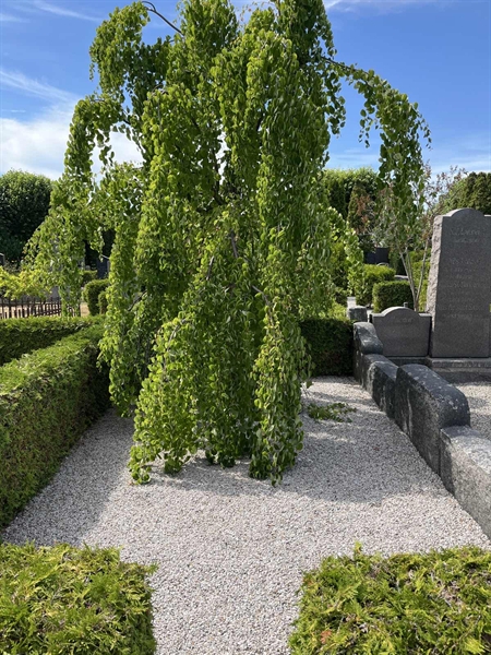 Grave number: NK IV    95