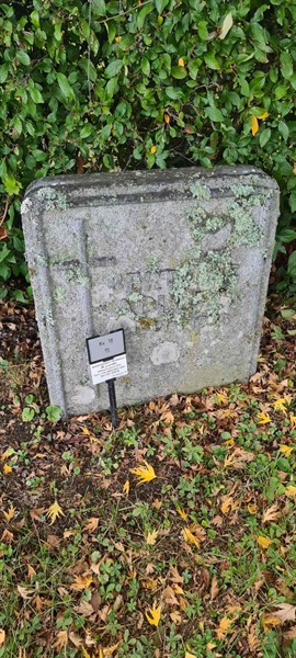 Grave number: M 18   15
