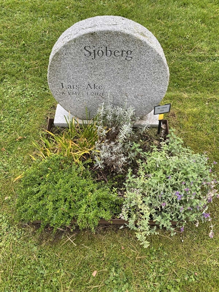 Hautatunnus: 2 E   133