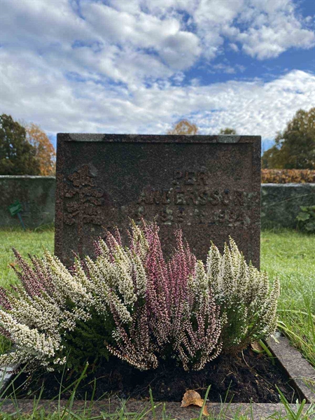 Grave number: 1 24     93