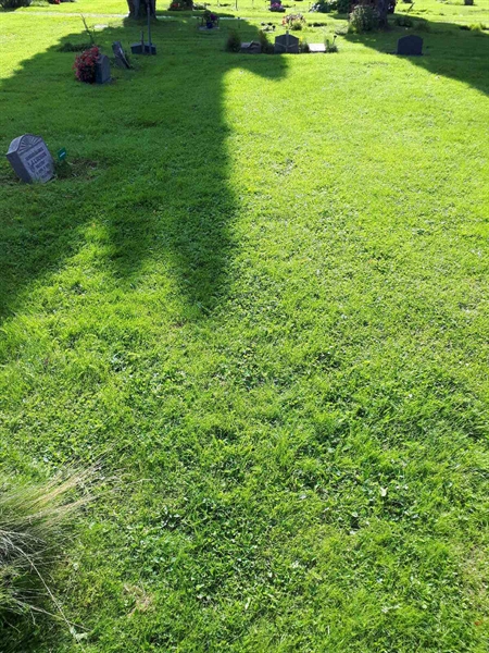 Gravnummer: NK A A   421