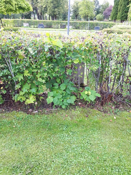 Grave number: NK F B   103