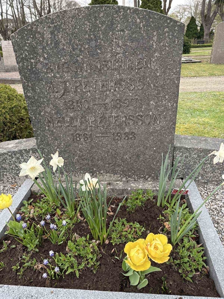 Grave number: Ö 02y 11, 12