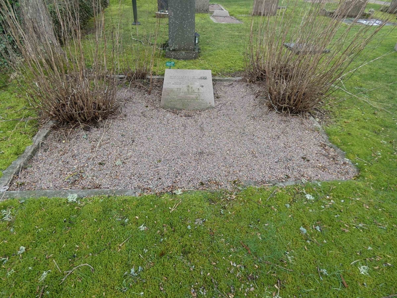 Grave number: BR G   210