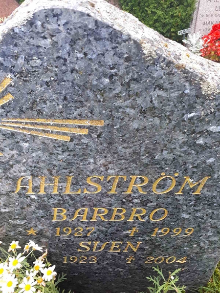 Gravnummer: GK U 4   195