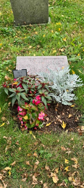 Grave number: M C  124