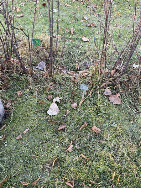 Gravnummer: GK A 3   490