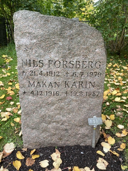 Hautatunnus: 1 H   113