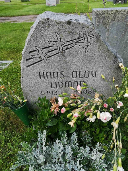 Hautatunnus: NK 13    41