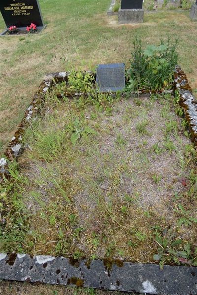 Grave number: TÖ 4   251