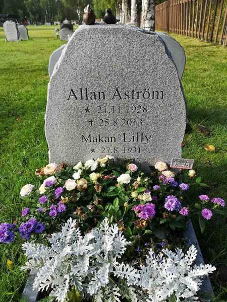 Hautatunnus: NK 20    57-58