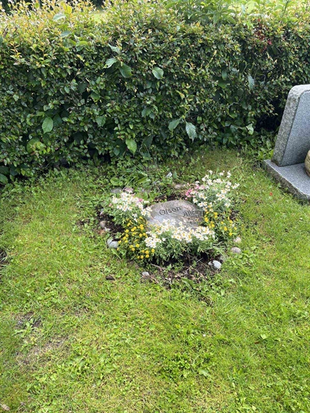 Hautatunnus: 7 09   138