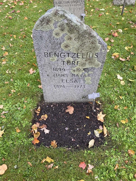 Gravnummer: 1 H   215