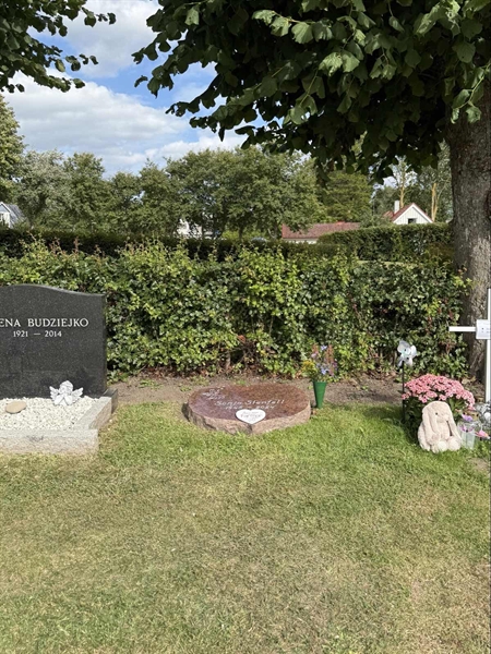 Grave number: ON C   662