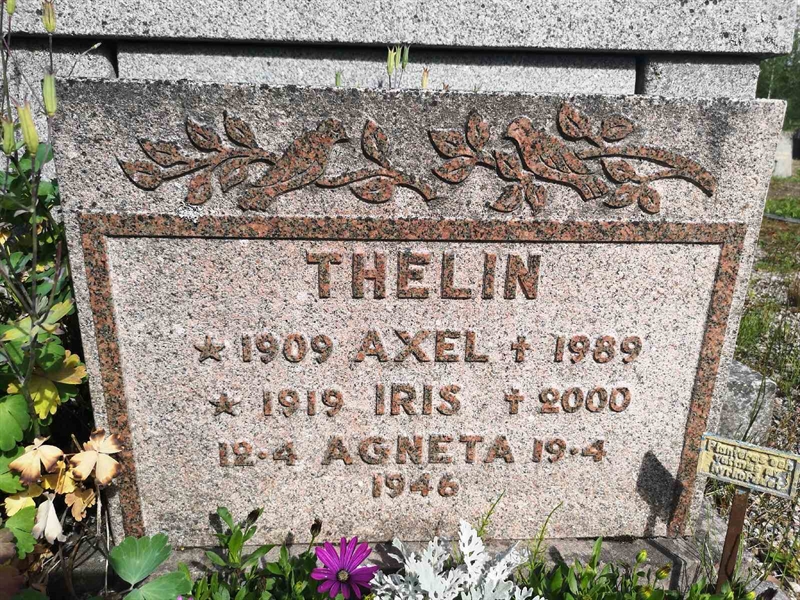 Gravnummer: SK M    17