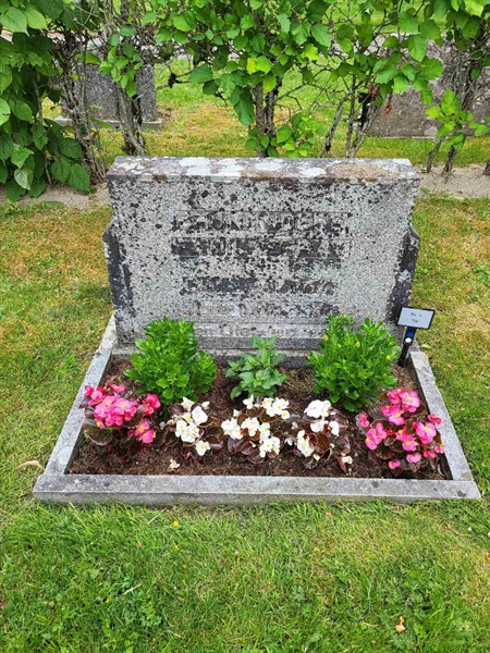 Grave number: Jä 04   118