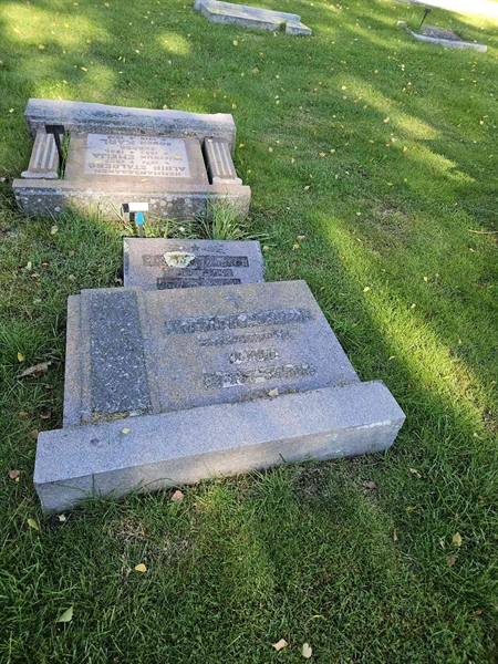 Grave number: Fr 7   242-243