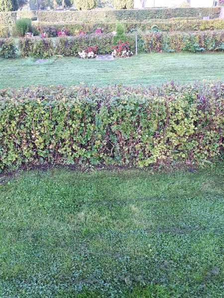 Hautatunnus: NK F G   200