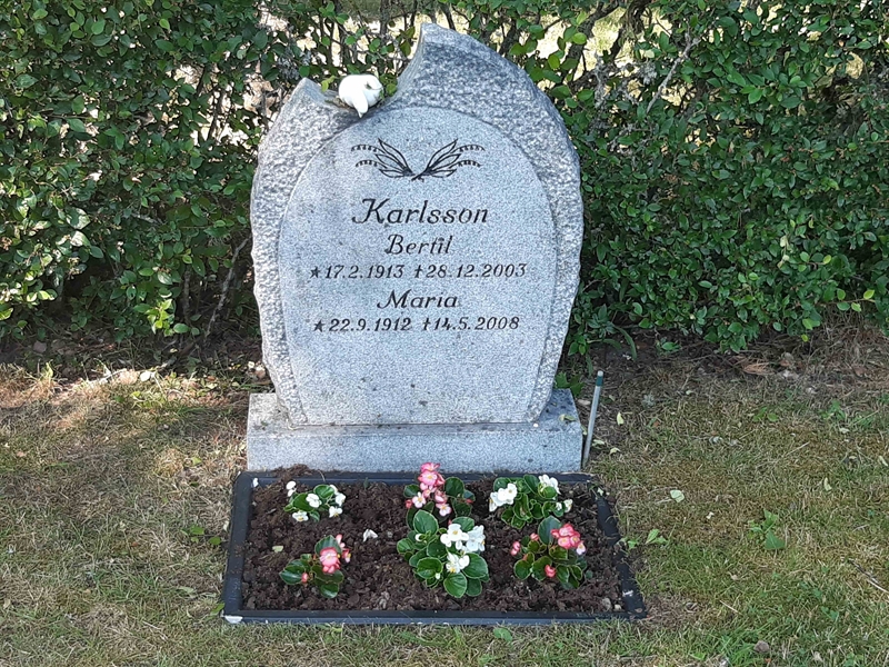 Grave number: VI 03   766