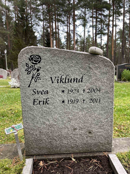 Grave number: 3 5   113