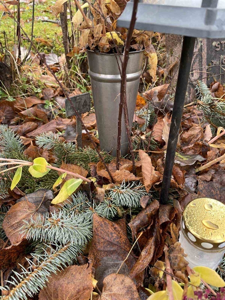 Gravnummer: GK A 3   474