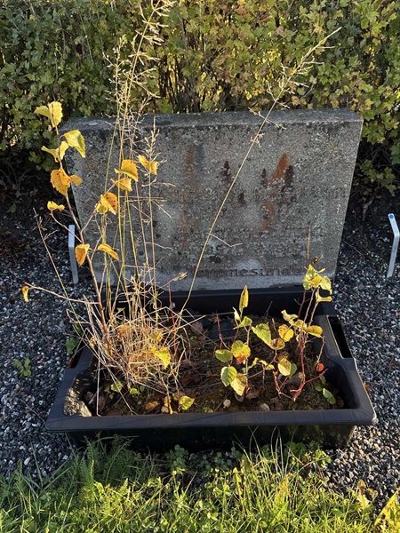 Grave number: 4 N NB    78