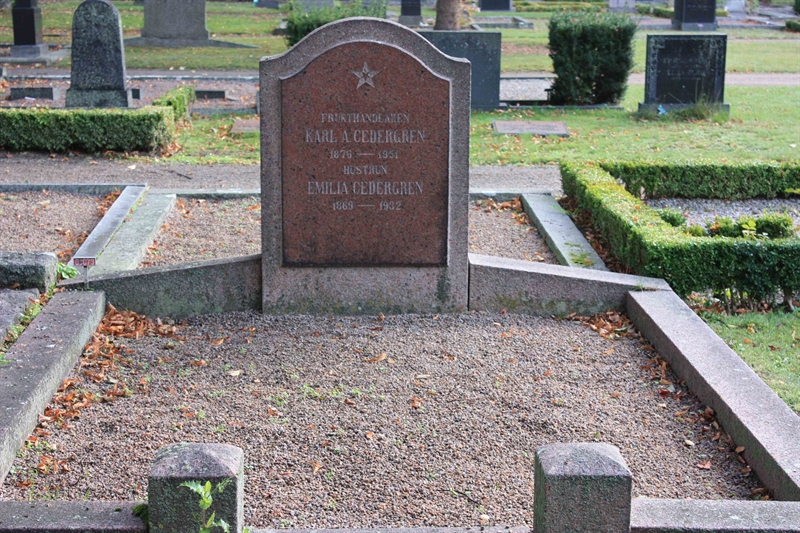 Grave number: Ö 09i   100, 101