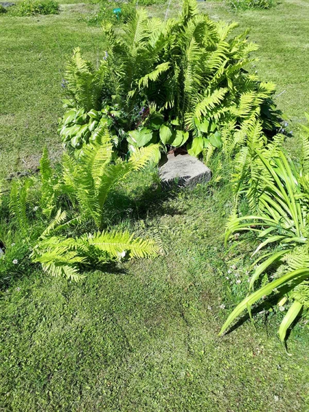 Hautatunnus: GK A 5   151M