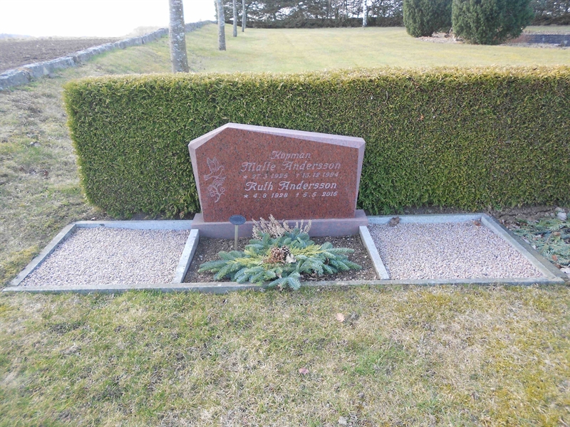 Grave number: V 41   248
