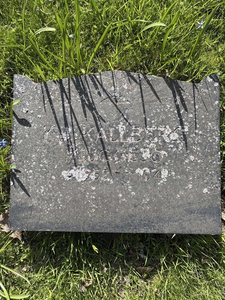 Hautatunnus: H 019 017-17