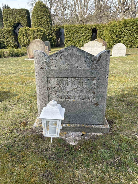 Gravnummer: LI    55