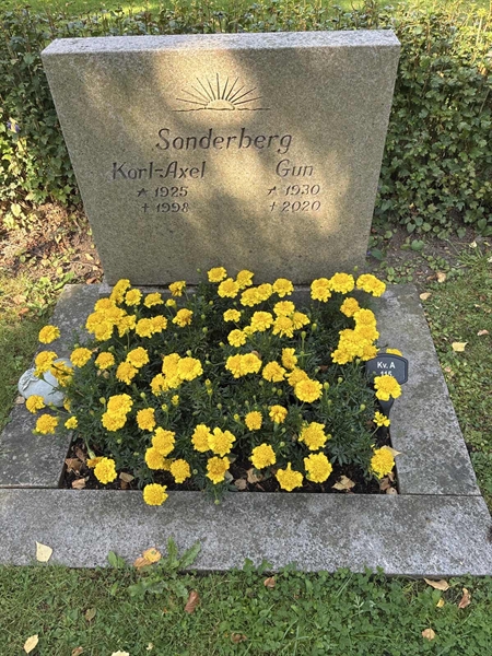 Grave number: 22 A   115