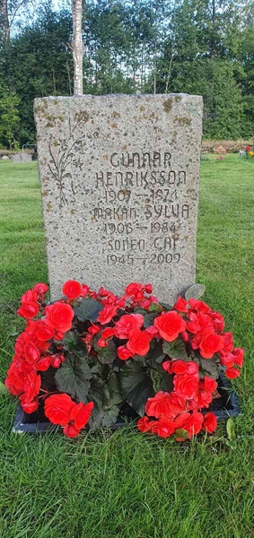 Grave number: 1 F    50-52